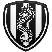 워싱턴 위저즈 엠블럼