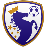 시카고 불스 엠블럼