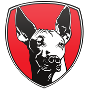 대한민국(W) 엠블럼