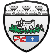 코번트리 시티 FC 엠블럼