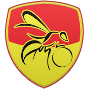 인디애나 페이서스 엠블럼