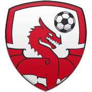 맨체스터 시티 엠블럼