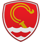 대한민국(W) 엠블럼