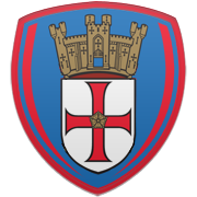 뉴욕 레드불스 엠블럼