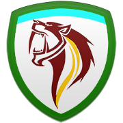 코번트리 시티 FC 엠블럼